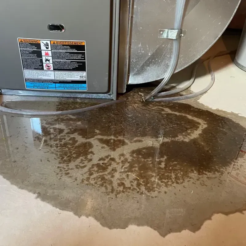 Appliance Leak Cleanup in Beverly, MA